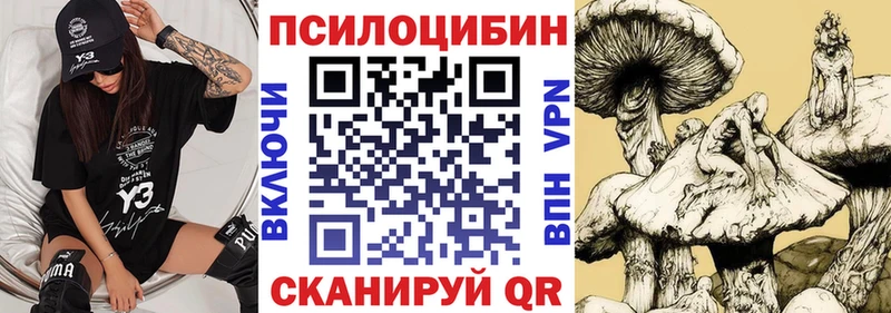 Галлюциногенные грибы мухоморы  Купить закладки  Бакал 