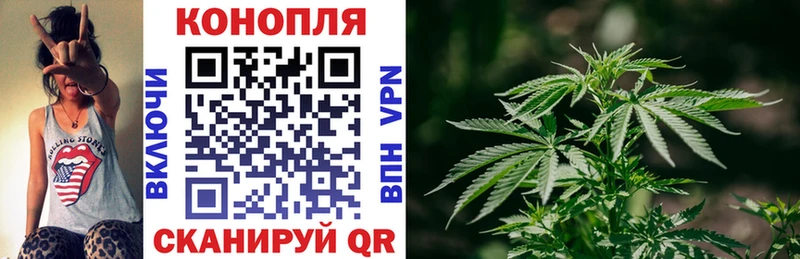 Купить где  Бакал  Шишки марихуана MAZAR 